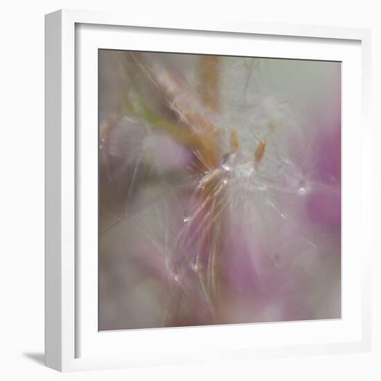 Fairy Dance II-Gillian Hunt-Framed Photographic Print