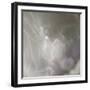 Fairy Dance III-Gillian Hunt-Framed Photographic Print