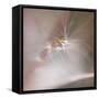 Fairy Dance V-Gillian Hunt-Framed Stretched Canvas