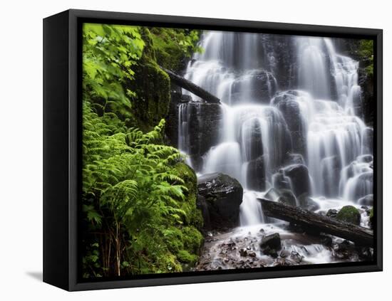 Fairy Falls in the Columbia River Gorge Outside of Portland, Or-Ryan Wright-Framed Stretched Canvas