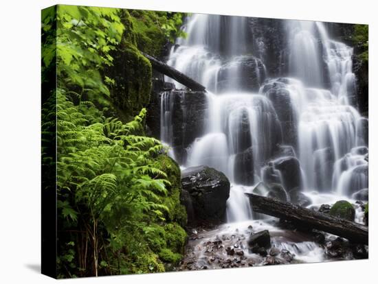 Fairy Falls in the Columbia River Gorge Outside of Portland, Or-Ryan Wright-Stretched Canvas