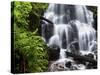 Fairy Falls in the Columbia River Gorge Outside of Portland, Or-Ryan Wright-Stretched Canvas