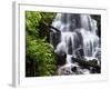 Fairy Falls in the Columbia River Gorge Outside of Portland, Or-Ryan Wright-Framed Photographic Print