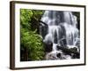 Fairy Falls in the Columbia River Gorge Outside of Portland, Or-Ryan Wright-Framed Photographic Print