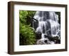 Fairy Falls in the Columbia River Gorge Outside of Portland, Or-Ryan Wright-Framed Photographic Print