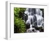 Fairy Falls in the Columbia River Gorge Outside of Portland, Or-Ryan Wright-Framed Photographic Print