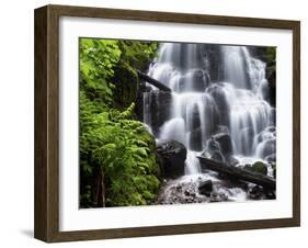 Fairy Falls in the Columbia River Gorge Outside of Portland, Or-Ryan Wright-Framed Photographic Print