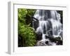 Fairy Falls in the Columbia River Gorge Outside of Portland, Or-Ryan Wright-Framed Photographic Print