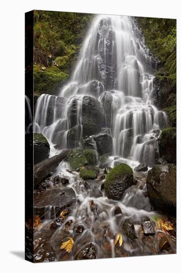 Fairy Falls in the Fall, Columbia River Gorge, Oregon, United States of America, North America-James Hager-Stretched Canvas