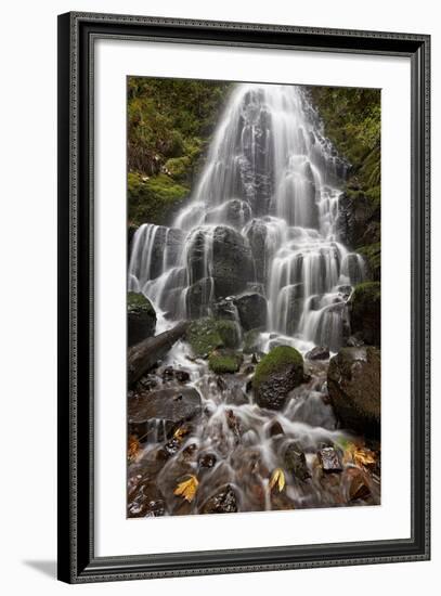 Fairy Falls in the Fall, Columbia River Gorge, Oregon, United States of America, North America-James Hager-Framed Photographic Print