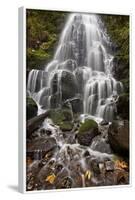 Fairy Falls in the Fall, Columbia River Gorge, Oregon, United States of America, North America-James Hager-Framed Photographic Print