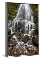 Fairy Falls in the Fall, Columbia River Gorge, Oregon, United States of America, North America-James Hager-Framed Photographic Print