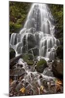 Fairy Falls in the Fall, Columbia River Gorge, Oregon, United States of America, North America-James Hager-Mounted Photographic Print