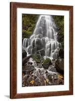 Fairy Falls in the Fall, Columbia River Gorge, Oregon, United States of America, North America-James Hager-Framed Photographic Print