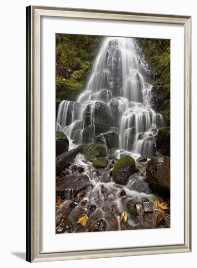 Fairy Falls in the Fall, Columbia River Gorge, Oregon, United States of America, North America-James Hager-Framed Photographic Print