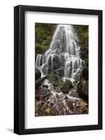 Fairy Falls in the Fall, Columbia River Gorge, Oregon, United States of America, North America-James Hager-Framed Photographic Print