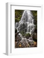 Fairy Falls in the Fall, Columbia River Gorge, Oregon, United States of America, North America-James Hager-Framed Photographic Print