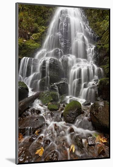 Fairy Falls in the Fall, Columbia River Gorge, Oregon, United States of America, North America-James Hager-Mounted Photographic Print