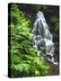 Fairy Falls Tumbling Down Basalt Rocks, Columbia River Gorge National Scenic Area, Oregon, USA-Steve Terrill-Stretched Canvas