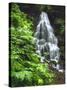 Fairy Falls Tumbling Down Basalt Rocks, Columbia River Gorge National Scenic Area, Oregon, USA-Steve Terrill-Stretched Canvas