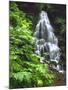 Fairy Falls Tumbling Down Basalt Rocks, Columbia River Gorge National Scenic Area, Oregon, USA-Steve Terrill-Mounted Photographic Print