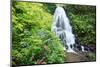 Fairy Falls, wildflowers, Columbia Gorge, Oregon-Stuart Westmorland-Mounted Photographic Print