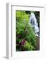 Fairy Falls, wildflowers, Columbia Gorge, Oregon-Stuart Westmorland-Framed Photographic Print