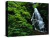 Fairy Falls-Bill Ross-Stretched Canvas