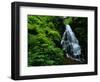 Fairy Falls-Bill Ross-Framed Photographic Print