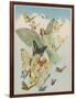 Fairy Flying with Butterflies-null-Framed Photographic Print