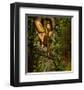 Fairy in a Tree Knothole-null-Framed Art Print