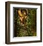 Fairy in a Tree Knothole-null-Framed Art Print