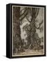 Fairy Lantern Bearers-Arthur Rackham-Framed Stretched Canvas