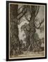 Fairy Lantern Bearers-Arthur Rackham-Framed Photographic Print