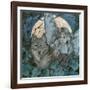 Fairy of the Night-Linda Ravenscroft-Framed Giclee Print