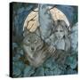 Fairy of the Night-Linda Ravenscroft-Stretched Canvas