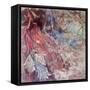Fairy passing the Hobgoblin's lair-Mary Smith-Framed Stretched Canvas