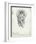 Fairy Queen from 'The Water-Babies' by Charles Kingsley-Edward Linley Sambourne-Framed Giclee Print