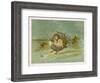 Fairy Rides a Rat Carrying a Lantern to Warn Other Traffic of Their Approach-Emily Gertrude Thomson-Framed Art Print