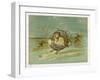 Fairy Rides a Rat Carrying a Lantern to Warn Other Traffic of Their Approach-Emily Gertrude Thomson-Framed Art Print