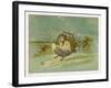 Fairy Rides a Rat Carrying a Lantern to Warn Other Traffic of Their Approach-Emily Gertrude Thomson-Framed Art Print