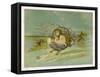 Fairy Rides a Rat Carrying a Lantern to Warn Other Traffic of Their Approach-Emily Gertrude Thomson-Framed Stretched Canvas