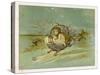 Fairy Rides a Rat Carrying a Lantern to Warn Other Traffic of Their Approach-Emily Gertrude Thomson-Stretched Canvas