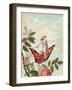 Fairy Riding a Butterfly Among Roses, 1882-null-Framed Giclee Print