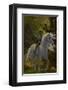 Fairy Riding Unicorn-null-Framed Art Print