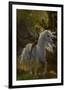 Fairy Riding Unicorn-null-Framed Art Print