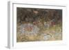 Fairy Rings and Toadstools, 1875-Richard Doyle-Framed Giclee Print