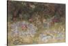 Fairy Rings and Toadstools, 1875-Richard Doyle-Stretched Canvas