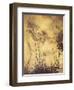 Fairy's Tightrope, 1910-Arthur Rackham-Framed Giclee Print