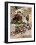 Fairy Stack Home, Cappadocia, Turkey-Joe Restuccia III-Framed Photographic Print